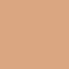 رنگ کرم پودر 55 dark beige