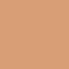 رنگ کرم پودر 57 dark tan