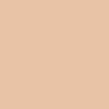 رنگ کرم پودر FU4302