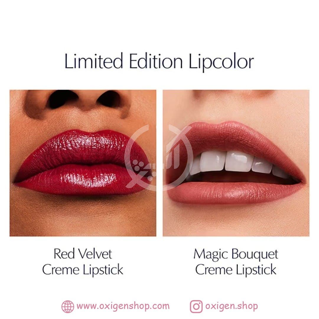 ست استی لادر مدل Blockbuster 2024 (جدا از ست) ست استی لادر مدل Blockbuster 2024 (جدا از ست)